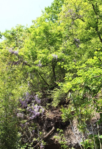 f:id:yatsugatake:20170512094939j:image