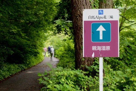 「姫川源流」・「親海湿原」を訪ねて…。(29.7.17)