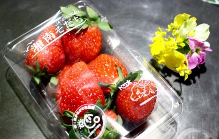 ２月初めにいただいた「湘南イチゴ」。(30.2.)
