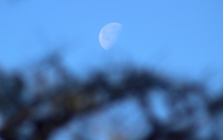 「昨夜・臘月二十日」のお月さま。(30.2.6)(9:05)