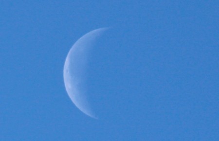 朝の白いお月さま。(30.3.12)(8:09)