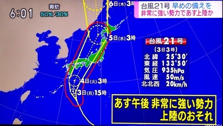 ダイコン 大根 播種4日後の芽生え Yatsugatakeのブログ ダイコン 大根 播種4日後の芽生え Yatsugatakeのブログ