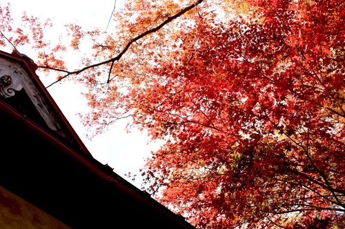 f:id:yatsugatake:20181031110200j:image