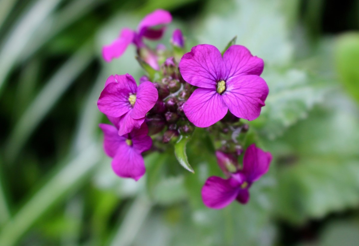 f:id:yatsugatake:20190430103048j:plain f:id:yatsugatake:20190430103048j:plain