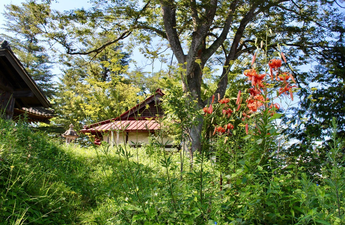 f:id:yatsugatake:20190807084716j:plain f:id:yatsugatake:20190807084716j:plain
