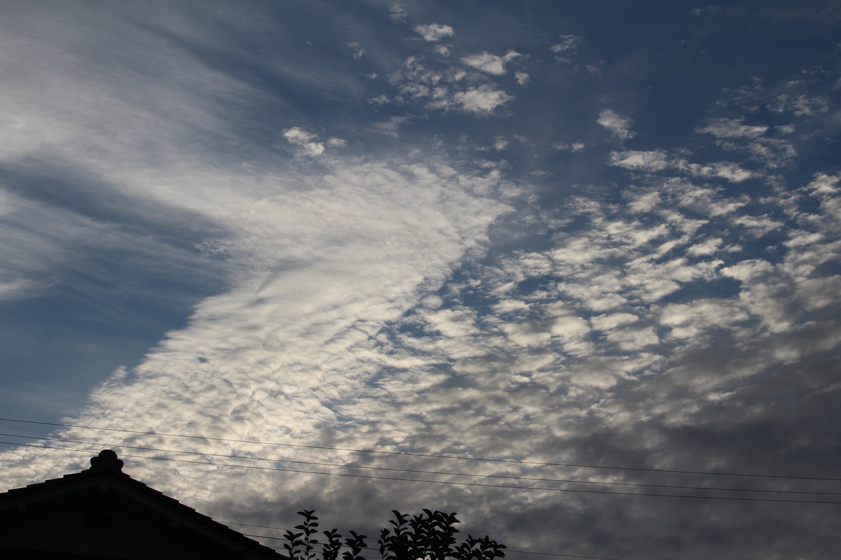 佐久の季節便り 空には いわし雲 寒い 彼岸の入り Yatsugatakeのブログ 佐久の季節便り 空には いわし雲 寒い 彼岸の入り Yatsugatakeのブログ