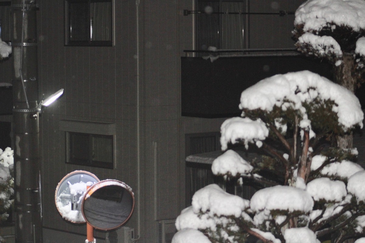 佐久の季節便り 牡丹雪 ぼたんゆき １０センチ超え 初雪かき作業 Yatsugatakeのブログ
