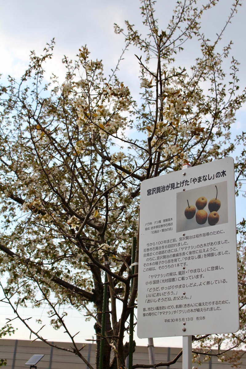 f:id:yatsugatake:20200428163825j:plain f:id:yatsugatake:20200428163825j:plain