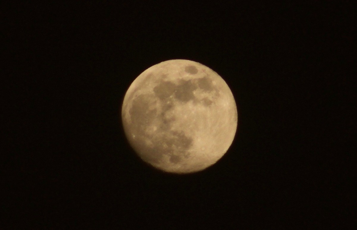 f:id:yatsugatake:20200604191322j:plain f:id:yatsugatake:20200604191322j:plain
