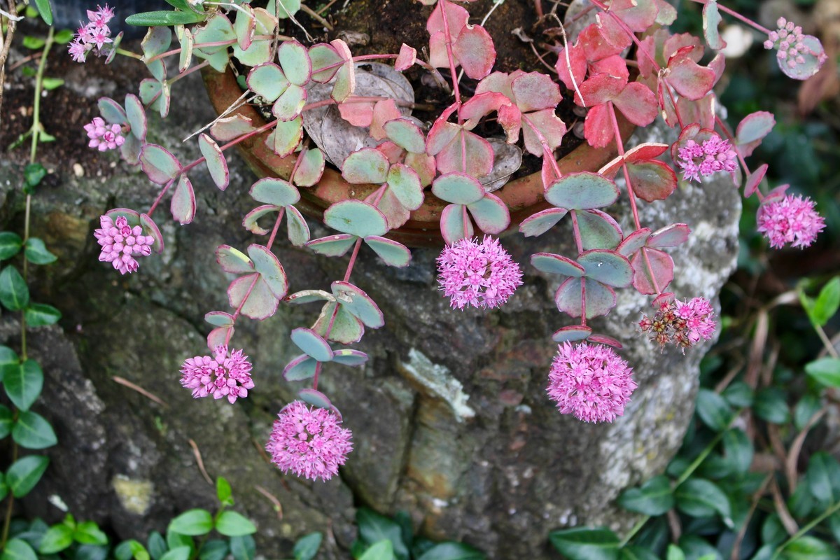 f:id:yatsugatake:20201021083901j:plain f:id:yatsugatake:20201021083901j:plain