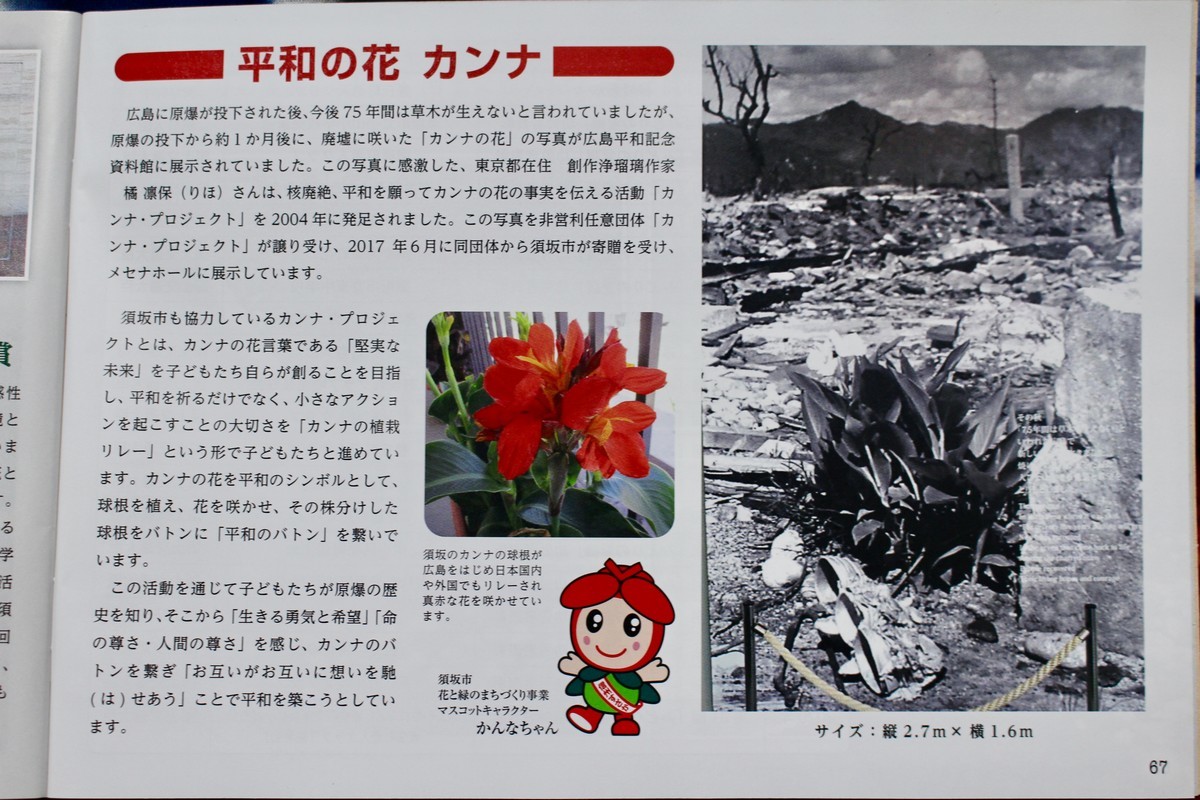 佐久の季節便り ひろばのカンナ 青空に映えて Yatsugatakeのブログ