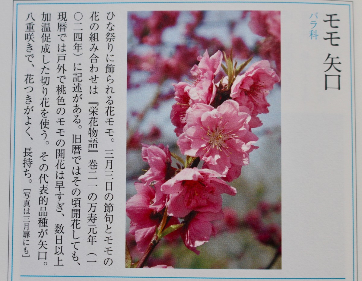 f:id:yatsugatake:20220303094636j:plain