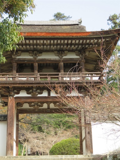 f:id:yatta-new47:20180302132152j:image f:id:yatta-new47:20180302132152j:image