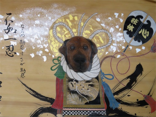 f:id:yatta-new47:20180302133752j:image f:id:yatta-new47:20180302133752j:image