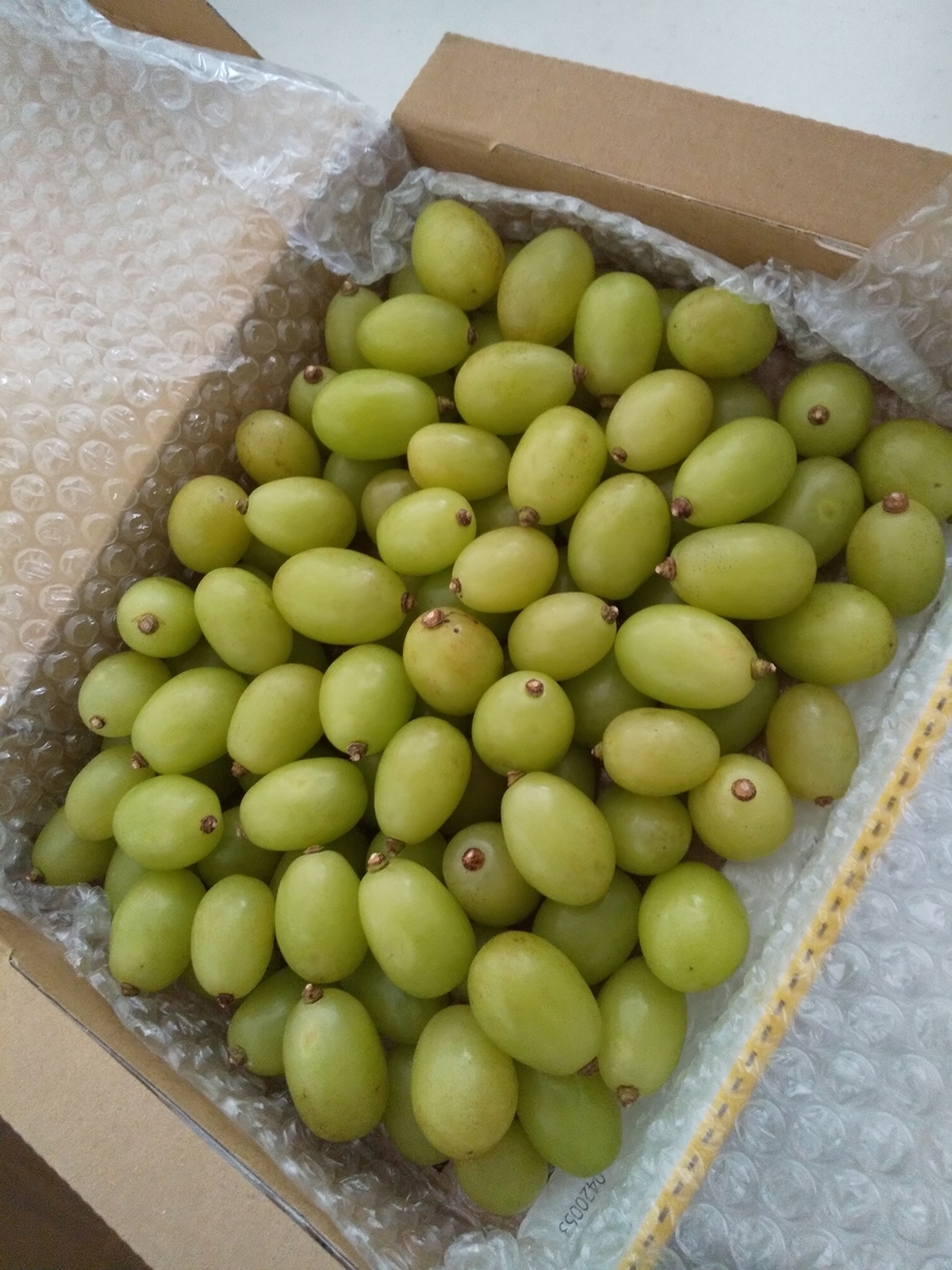 f:id:yattemita60:20201219164411j:plain