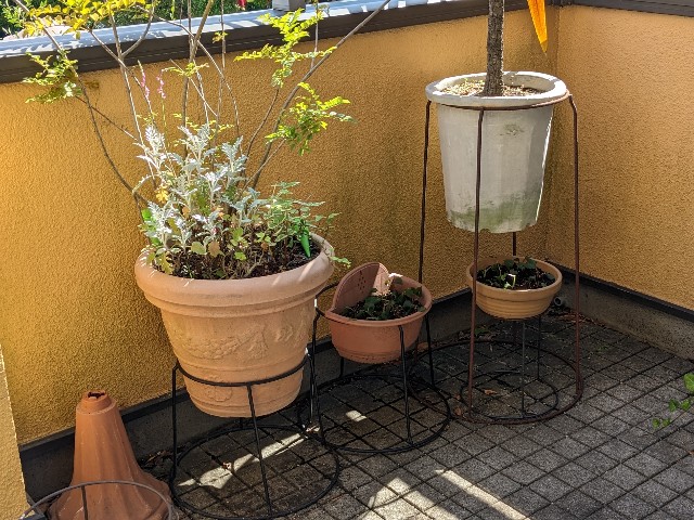 f:id:yattemita60:20230607145659j:image f:id:yattemita60:20230607145659j:image