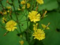 20100507083620
