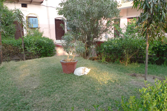 f:id:yattra:20121128130229j:image