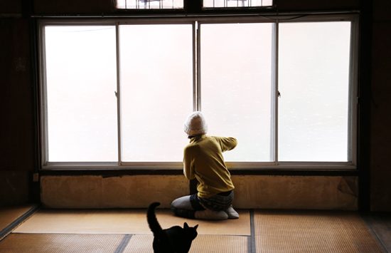 f:id:yattra:20140519175537j:image