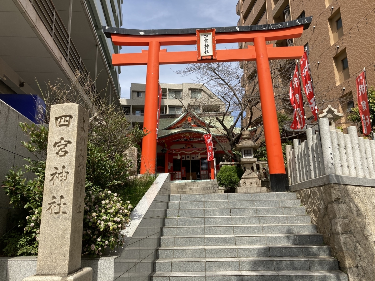 アワヒメを追って 55話 ― - 今日の夢はどんな夢？