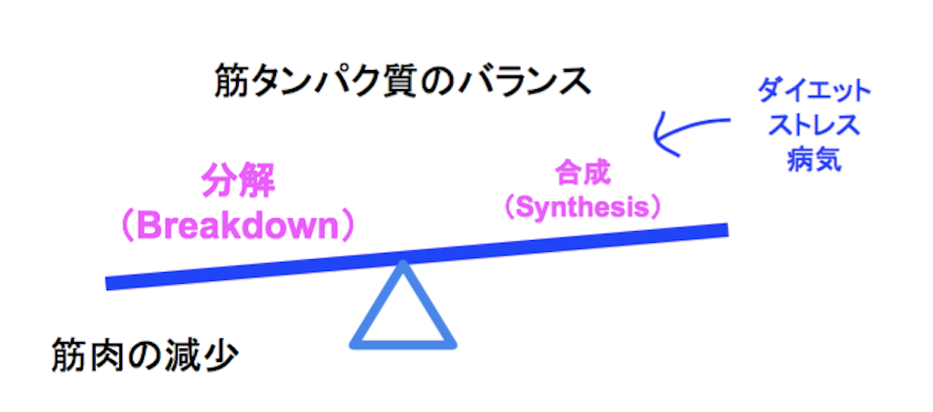 f:id:yauki0806:20190314230056p:image f:id:yauki0806:20190314230056p:image