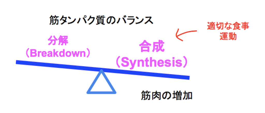 f:id:yauki0806:20190314230159p:image f:id:yauki0806:20190314230159p:image