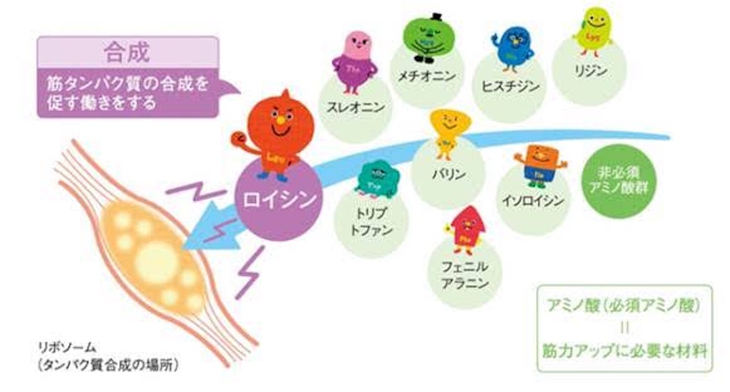 f:id:yauki0806:20190314233252j:image f:id:yauki0806:20190314233252j:image