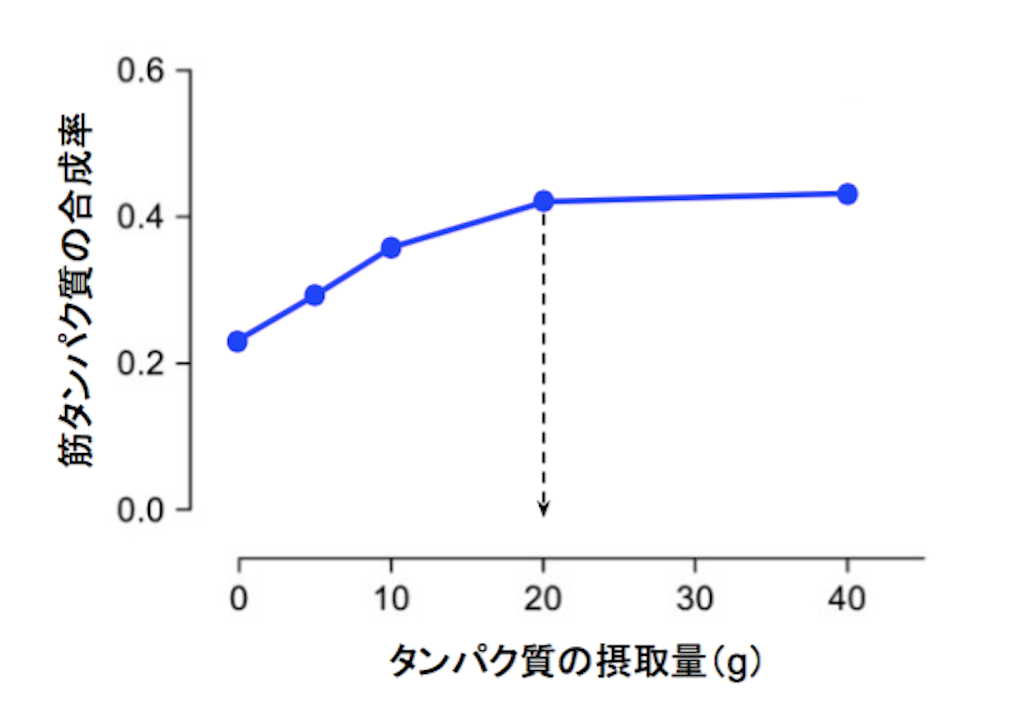 f:id:yauki0806:20190315222042p:image f:id:yauki0806:20190315222042p:image