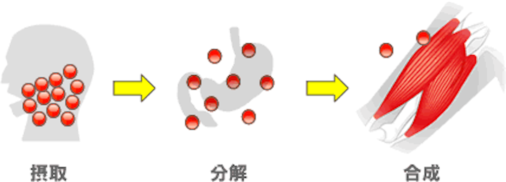 f:id:yauki0806:20190315225312p:image f:id:yauki0806:20190315225312p:image