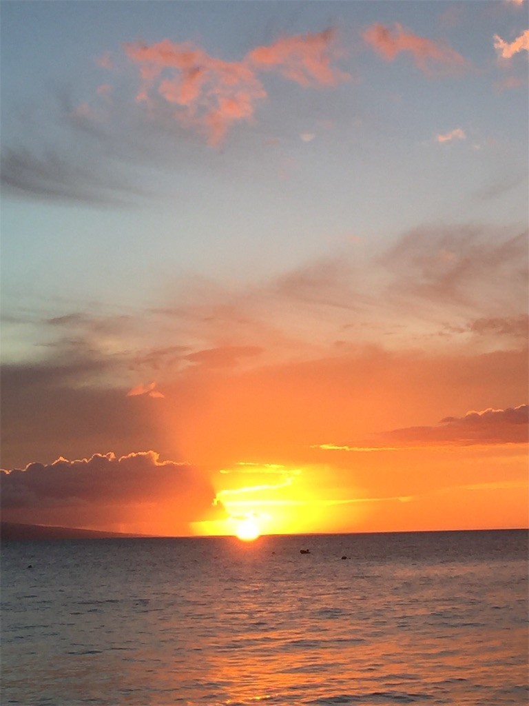 f:id:yaun:20190307115406j:image f:id:yaun:20190307115406j:image