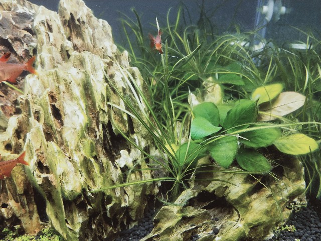 f:id:yawalife:20201027234423j:image f:id:yawalife:20201027234423j:image