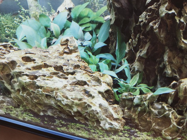 f:id:yawalife:20201031003627j:image f:id:yawalife:20201031003627j:image