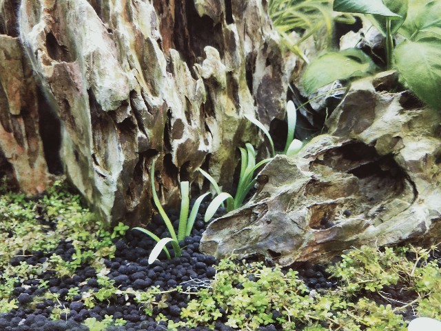 f:id:yawalife:20201031003651j:image f:id:yawalife:20201031003651j:image