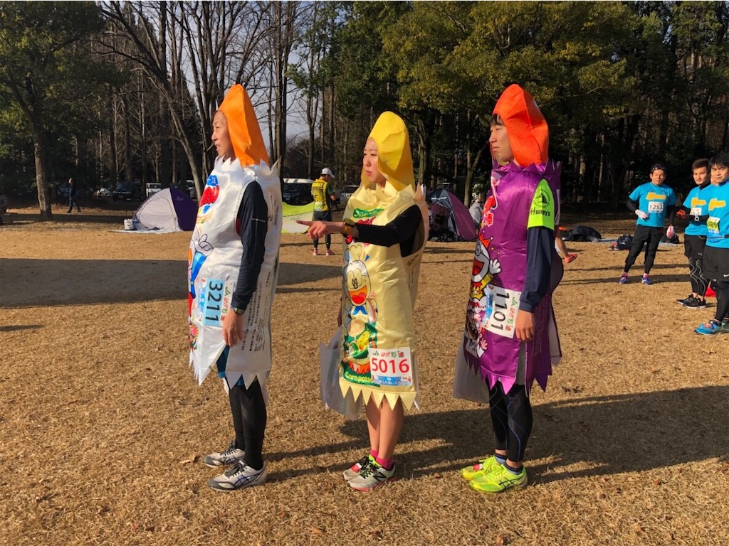f:id:yawaneko:20190112222517j:image f:id:yawaneko:20190112222517j:image