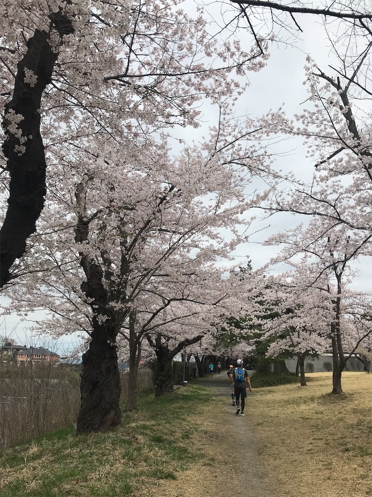 f:id:yawaneko:20190425184816j:image