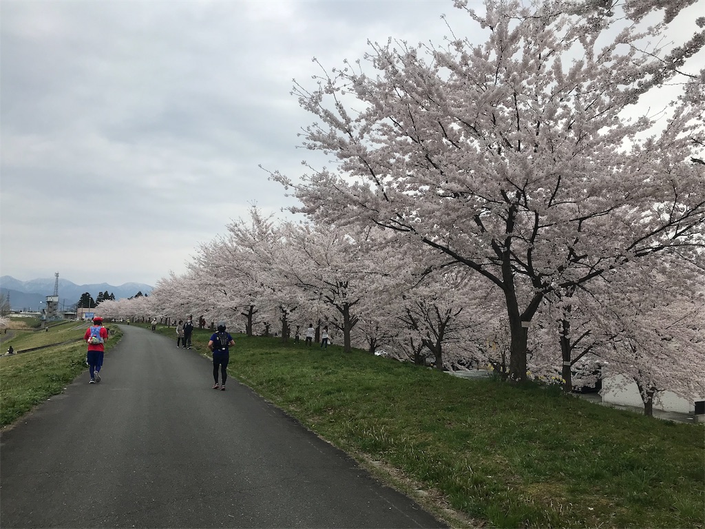 f:id:yawaneko:20190425185926j:image f:id:yawaneko:20190425185926j:image