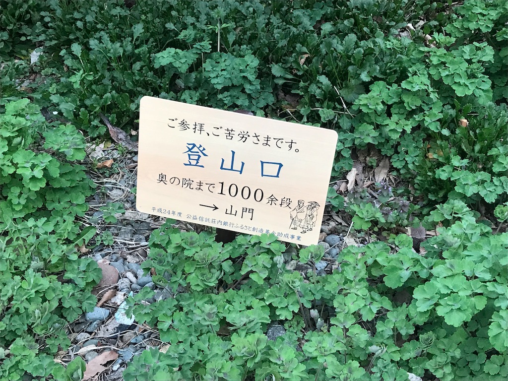 f:id:yawaneko:20190425203000j:image f:id:yawaneko:20190425203000j:image