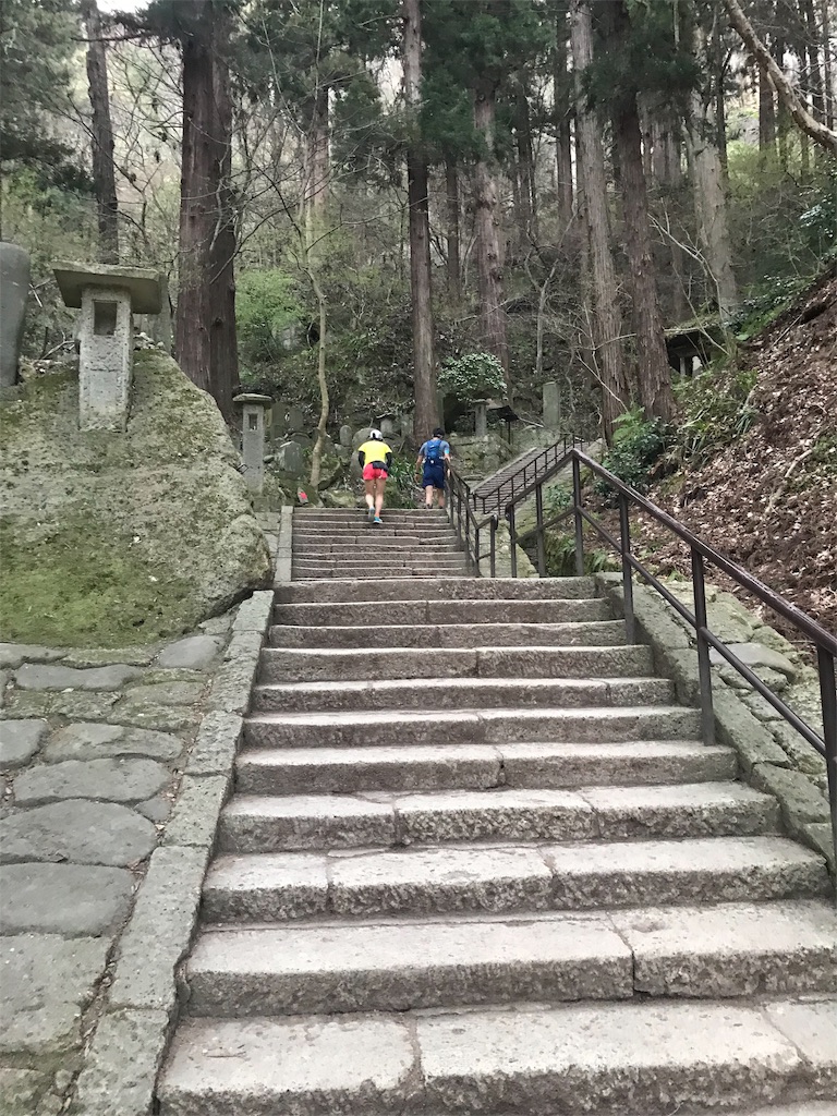 f:id:yawaneko:20190425203456j:image