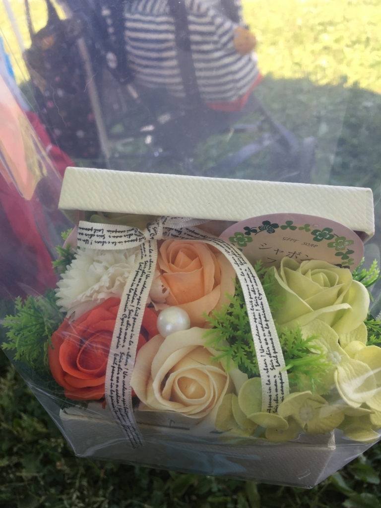f:id:yawaraka-koinu:20180603163859j:plain f:id:yawaraka-koinu:20180603163859j:plain