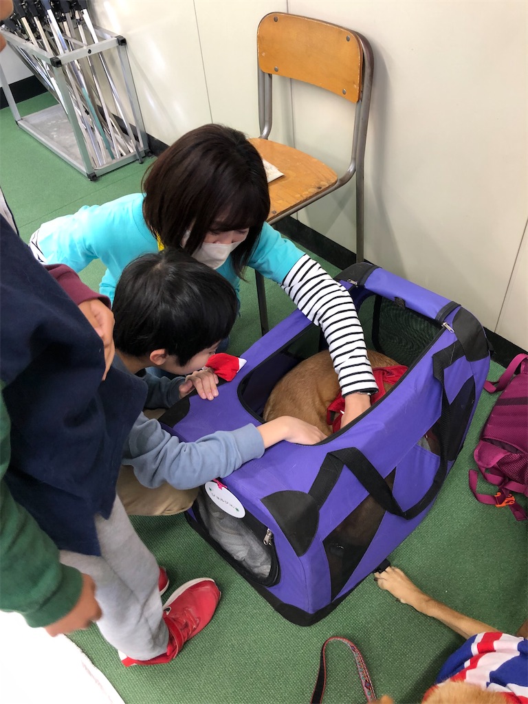 f:id:yawaraka-koinu:20240127133101j:image f:id:yawaraka-koinu:20240127133101j:image