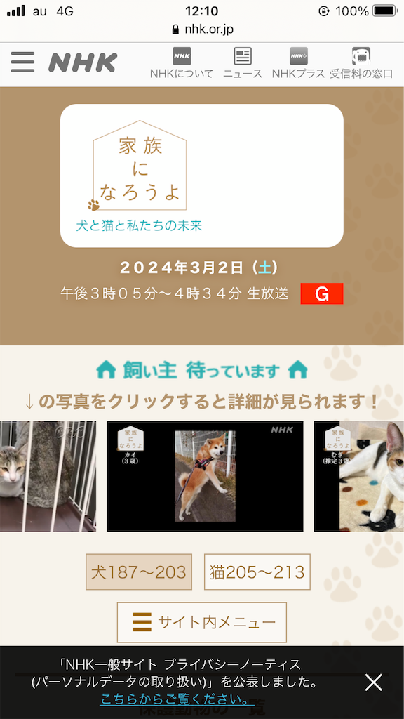 f:id:yawaraka-koinu:20240317144832p:image f:id:yawaraka-koinu:20240317144832p:image