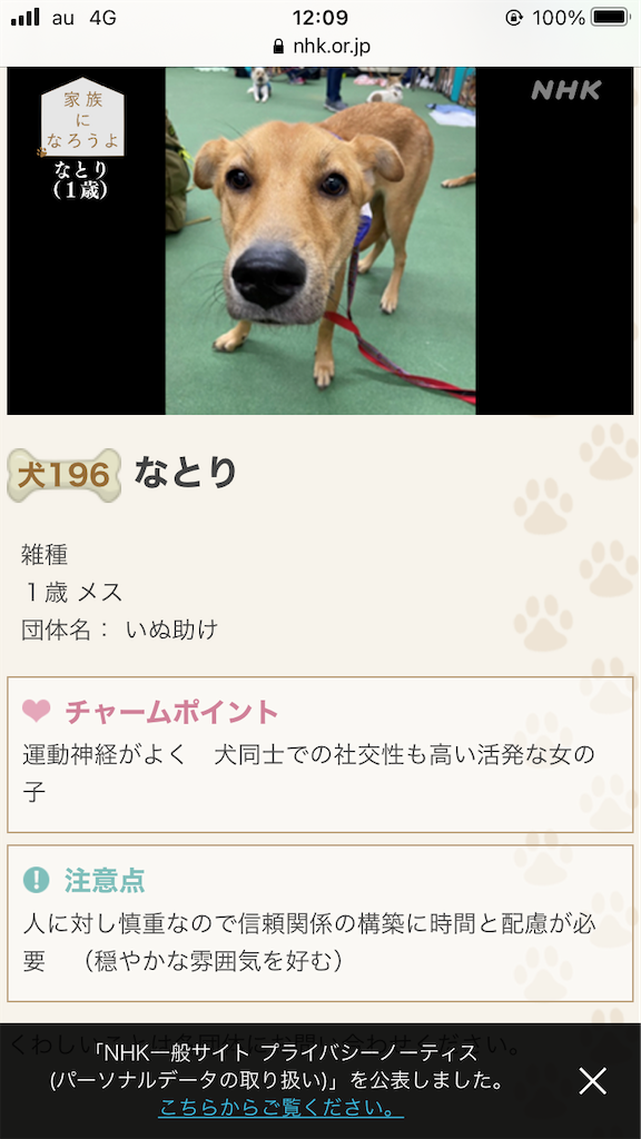 f:id:yawaraka-koinu:20240317144836p:image f:id:yawaraka-koinu:20240317144836p:image