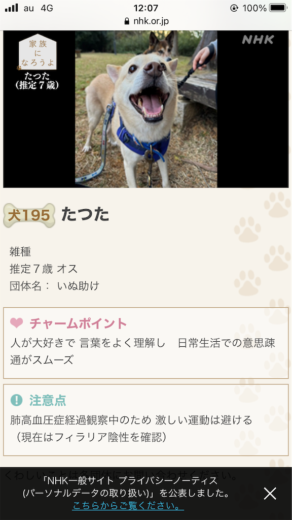 f:id:yawaraka-koinu:20240317144841p:image f:id:yawaraka-koinu:20240317144841p:image