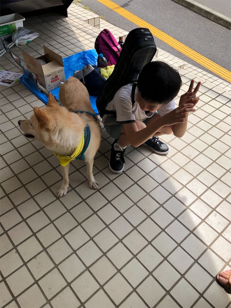 f:id:yawaraka-koinu:20240715073858j:image f:id:yawaraka-koinu:20240715073858j:image