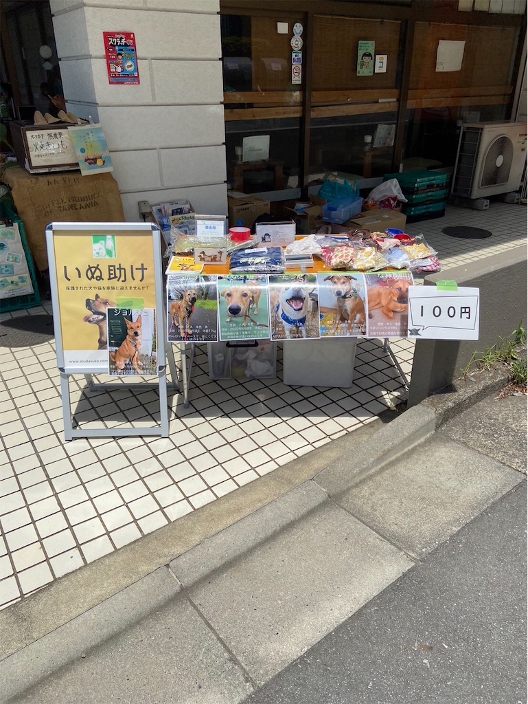 f:id:yawaraka-koinu:20240715074922j:image f:id:yawaraka-koinu:20240715074922j:image