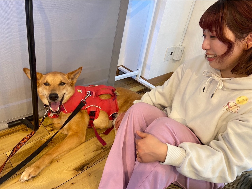 f:id:yawaraka-koinu:20260221141001j:image f:id:yawaraka-koinu:20260221141001j:image