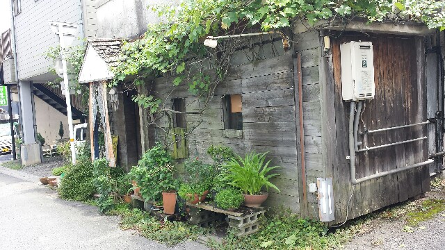 f:id:yawarakawakadori:20160905225641j:image f:id:yawarakawakadori:20160905225641j:image