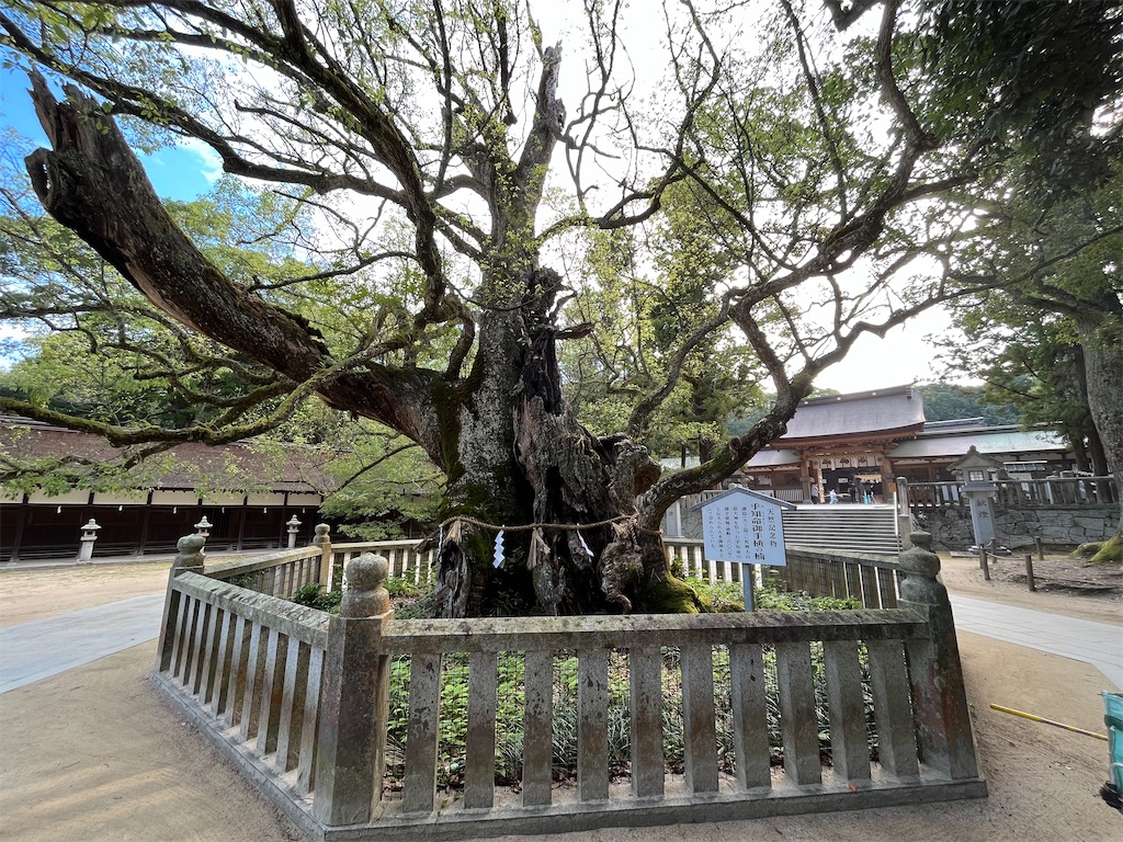 f:id:yaxiatan:20221008153047j:image f:id:yaxiatan:20221008153047j:image