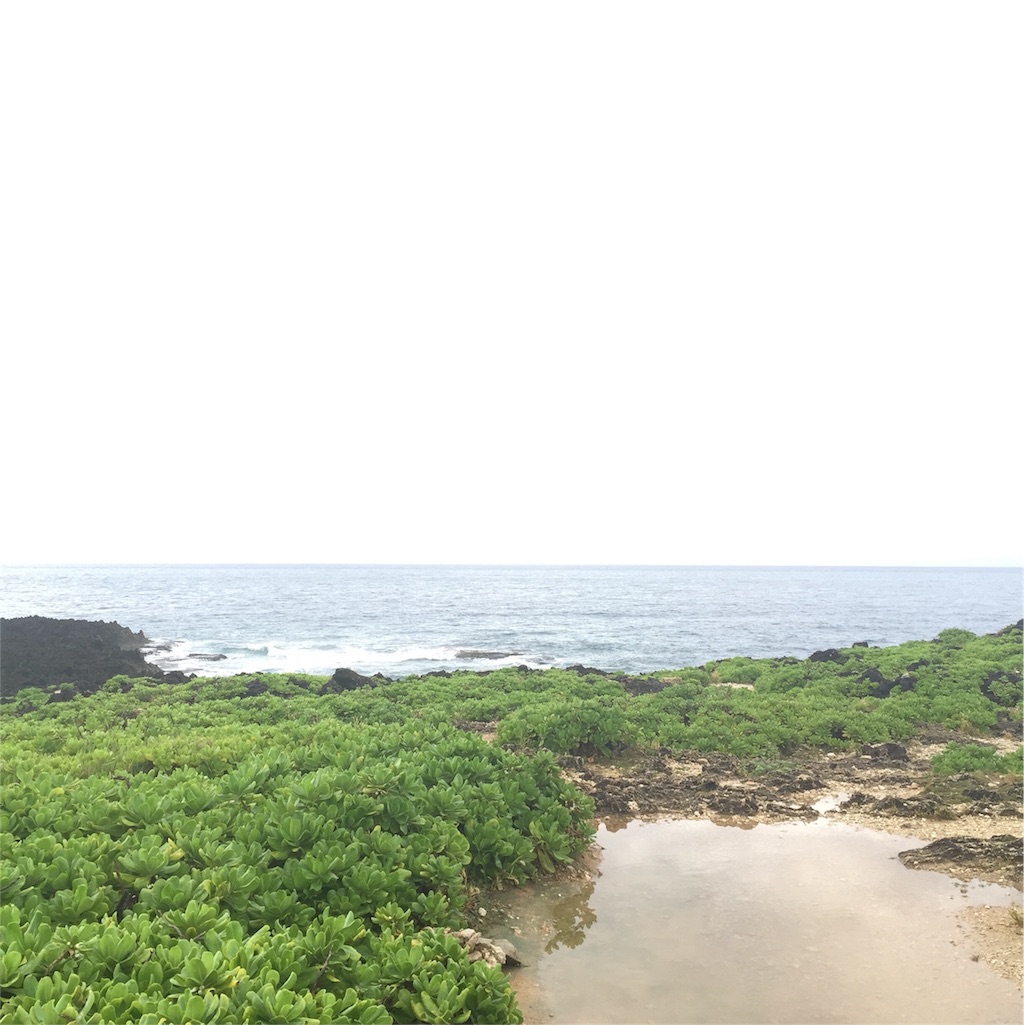 f:id:yayakky:20160929004359j:image f:id:yayakky:20160929004359j:image