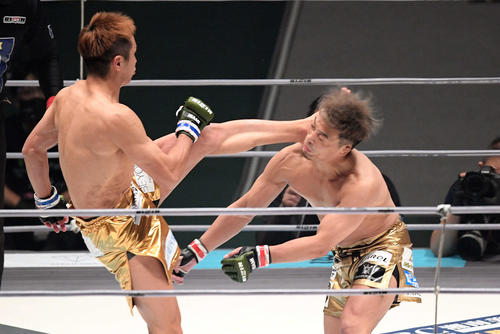 f:id:yayamarukun:20210927180659j:plain